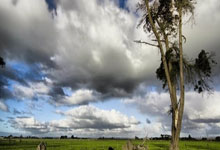 天涯娱乐圈十大神贴：娱乐圈十大神贴盘点，当年天涯论坛上的爆红帖全汇总！