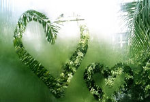 天涯十大神贴盘点，年度网帖天花板何在！（81字）