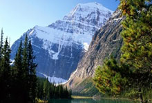 天涯十大神贴盘点，年度网帖天花板何在！（81字）